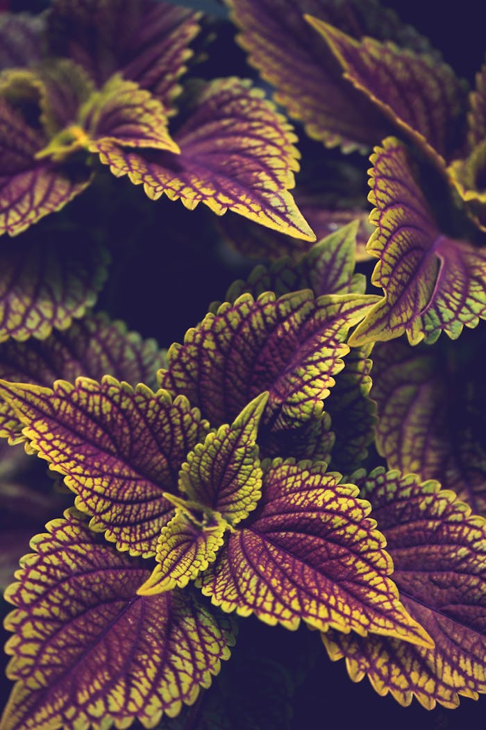 featured-portfolio-05